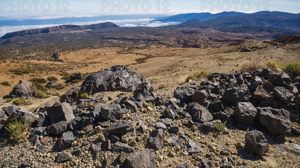 Huevos del Teide