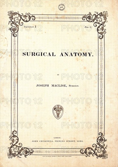 Surgical human anatomy