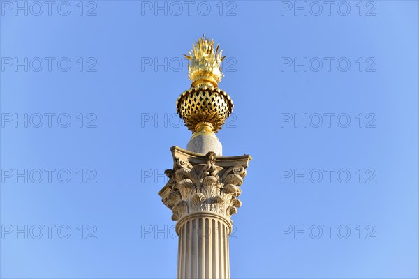 Corinthian Column in Warwick Court