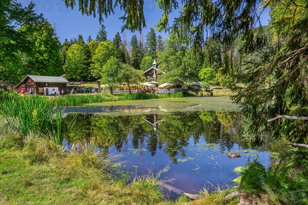 Schwellteich pond with the historic Trifterklause Schwellhaeusl inn in the Bavarian Forest National Park