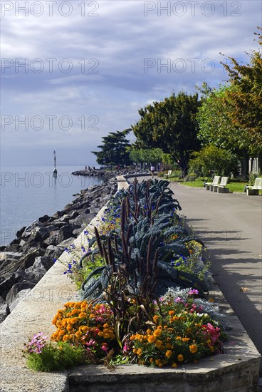 Vevey on Lake Geneva