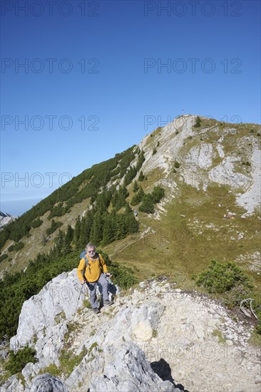 Hiker