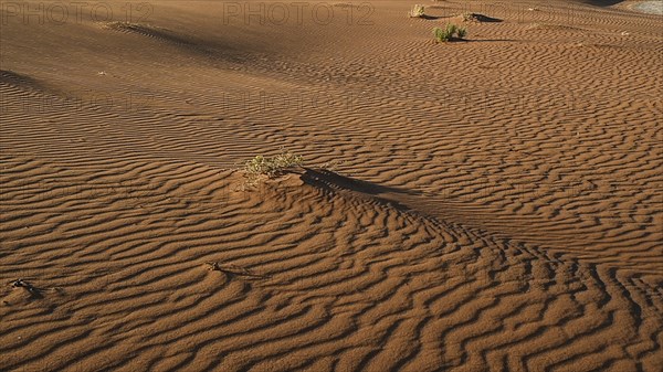 Dunes in Sossusvlei