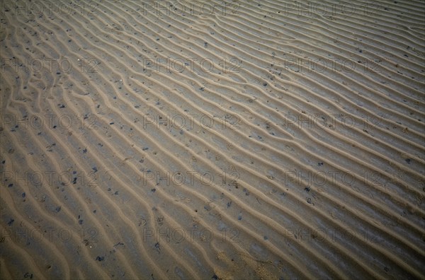 Sand ripples