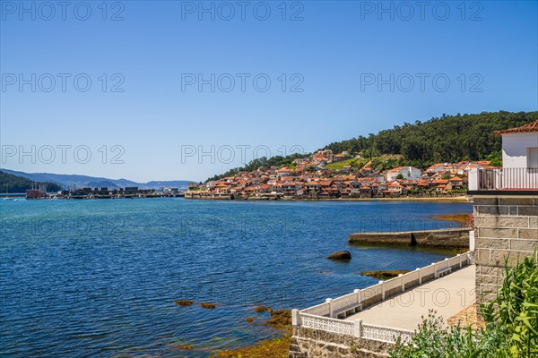 Beautiful city ocean landscape