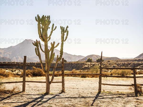 Great view of Tabernas desert