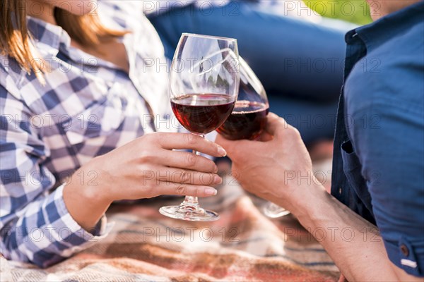 Man woman clinking glasses picnic