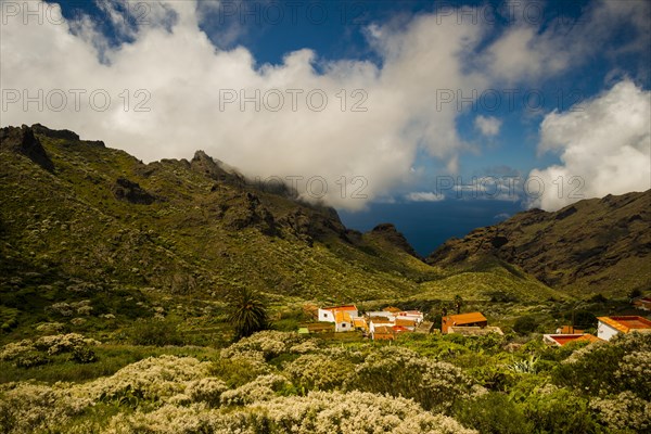 Teno Mountains