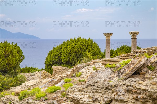 Antique Villa Romana with view of Giglio Island