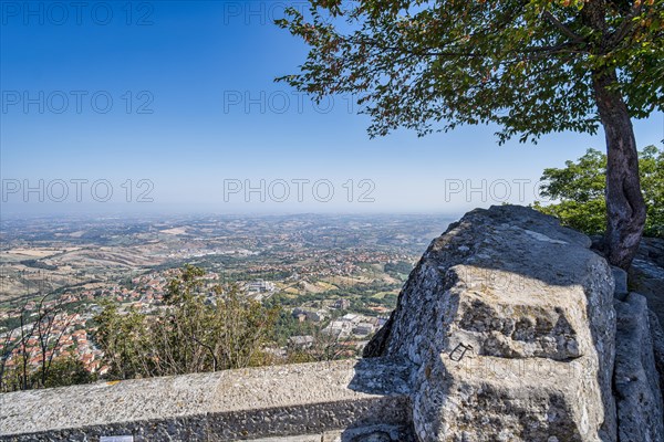 Tree on a cliff edge on the Percorso della Rupe hiking trail