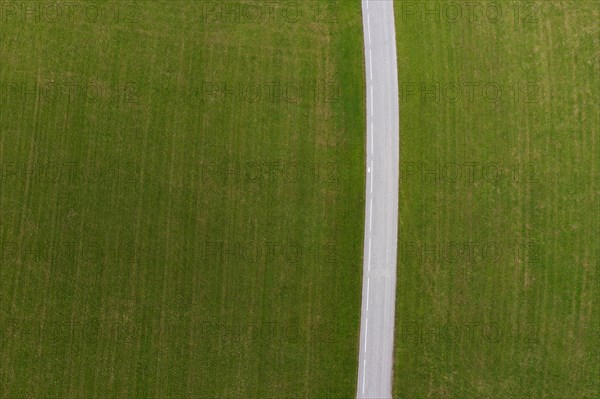 Country road leads through a green meadow