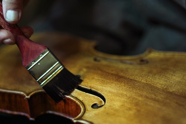 Senior expert violin maker luthier