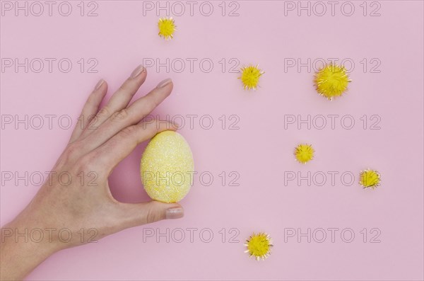 Flat lay hand holding colorful easter egg with dandelions
