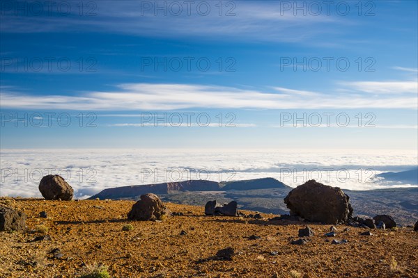 Huevos del Teide