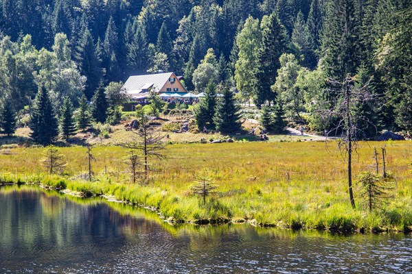 Kleiner Arbersee nature reserve with Seehaeusl inn