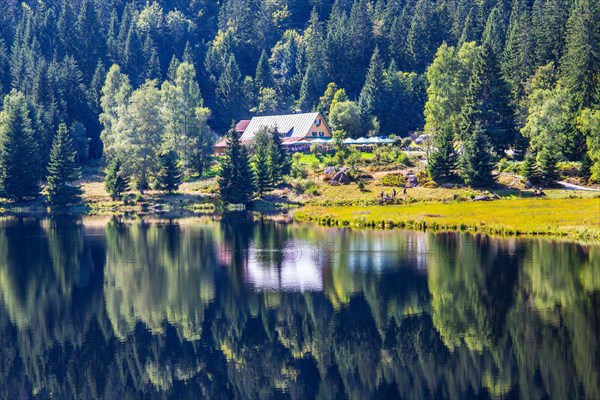 Kleiner Arbersee nature reserve with Seehaeusl inn