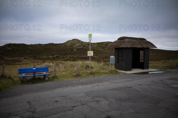 Bus stop with thatched roof