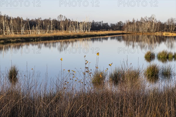 Moorland