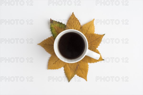 Arrangement with cup autumn leaves