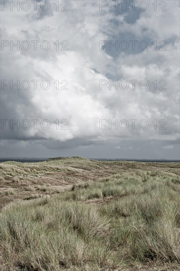 Barren dune landscape at Ellenbogen