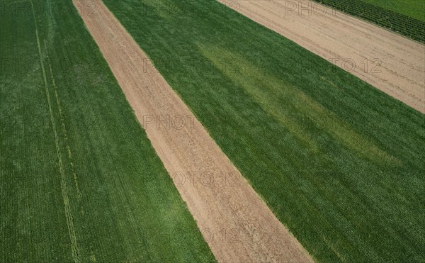 Drone view of green and harvested fields