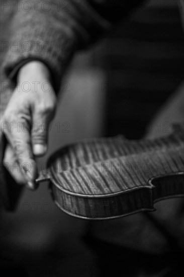 Senior luthier violin maker holding a fresh varnished instrument in his hands in Cremona