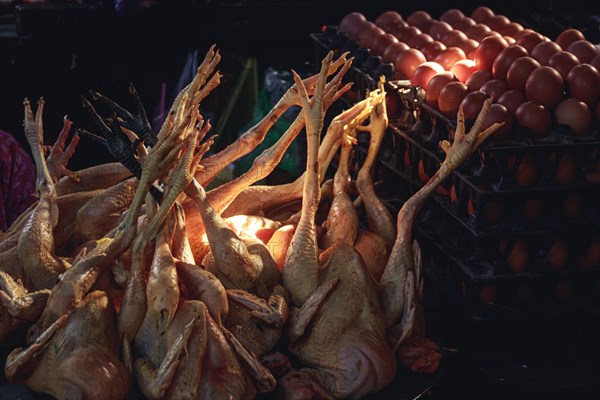 Sunlight cast on freshly dressed native chicken and eggs sold in the local traditional Samaki Market in Kampot Cambodia showing the authentic candid khmer lifestyle and culture