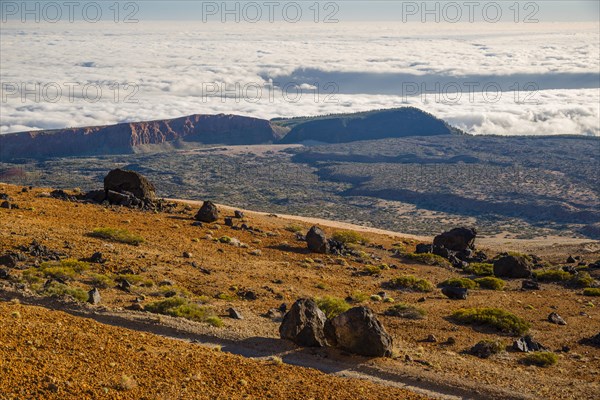 Huevos del Teide