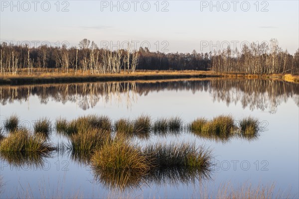 Moorland