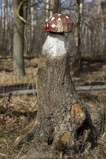 Fly agaric