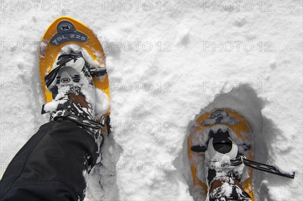 Close up of walker wearing snowshoes on feet while snowshoeing in deep powder snow in winter