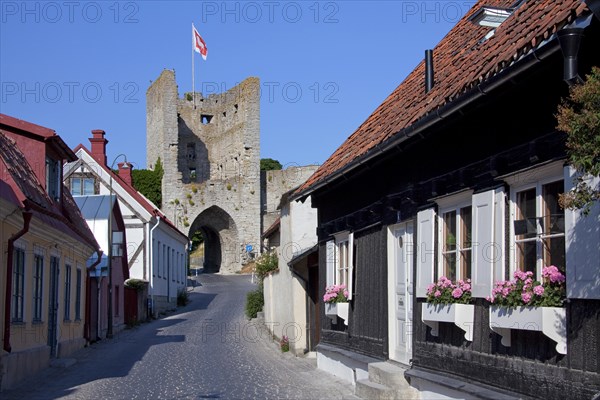 Traditional houses in street of the Hanseatic town Visby