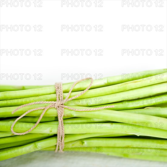 Fresh asparagus from the garden over white background