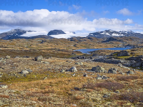 Autumn in Sognefjell