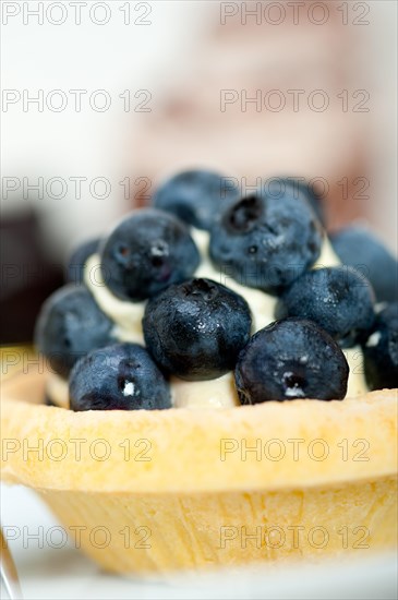 Fresh blueberry cream cupcake homemade closeup macro