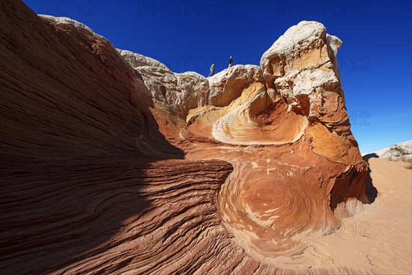 Hiker in White Pocket Canyon