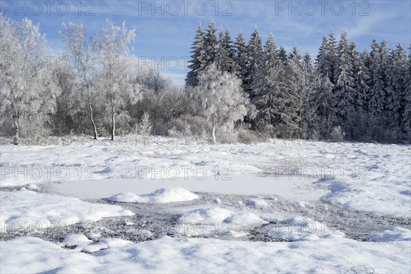 Moorland with frozen pingo in winter at the Hoge Venen