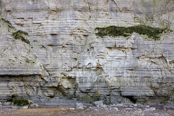 The white chalk cliffs at Cap Blanc Nez