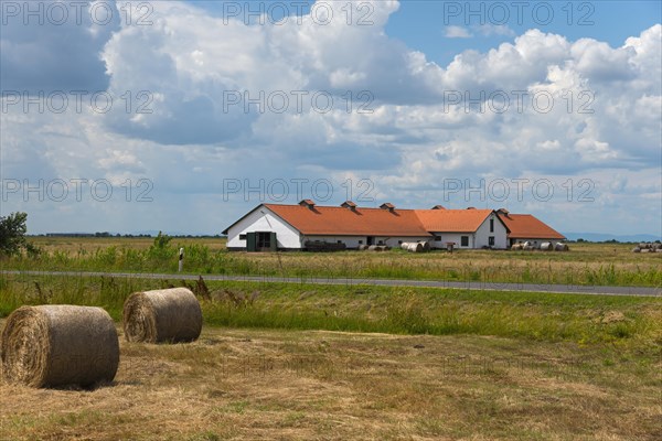 Farmstead