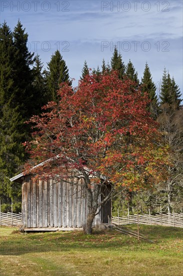 Wooden barn at farm in Dalarna