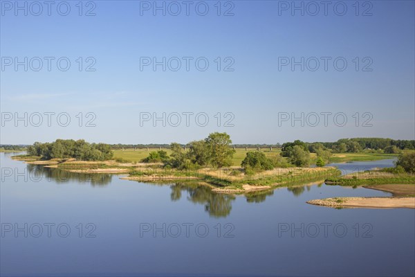 Biosphere Reserve Biosphaerenreservat Flusslandschaft Elbe