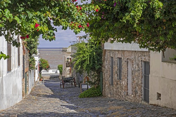 Cobbled street