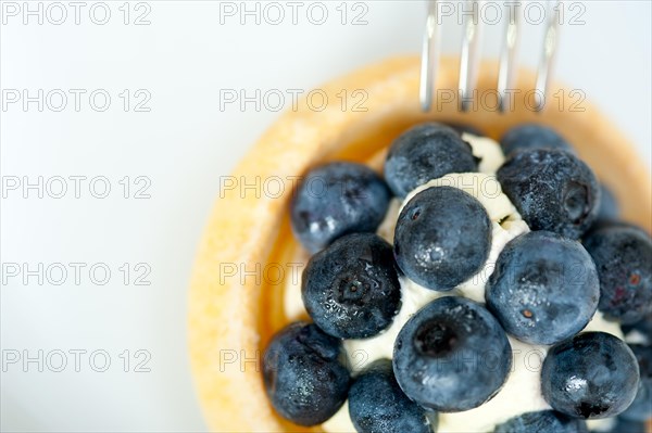 Fresh blueberry cream cupcake homemade closeup macro