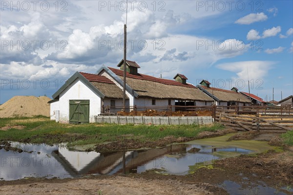 Farmstead