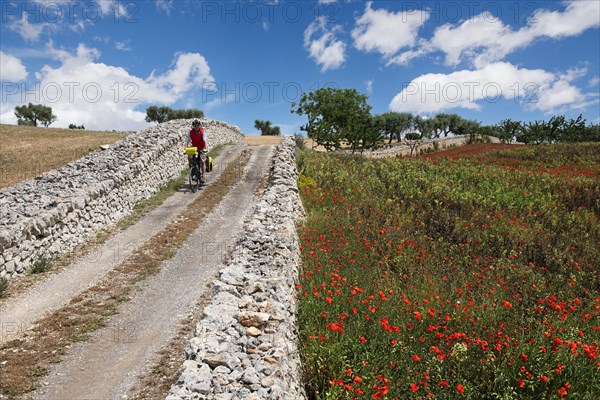 Cyclist on a side road between Noci and Alberobello