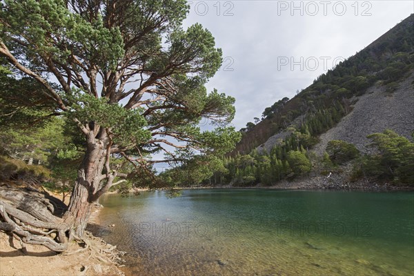 An Lochan Uaine