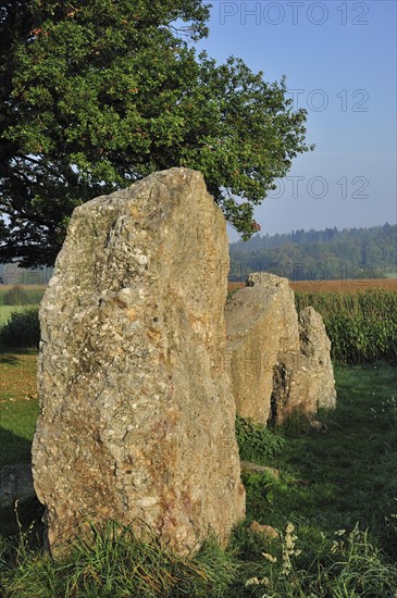 Standing stones at the Dolmen d'Oppagne