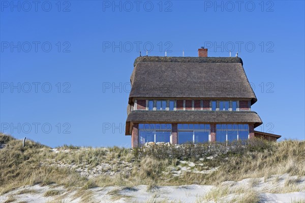 Villa with thatched roof in the dunes at Wittduen auf Amrum on the island of Amrum