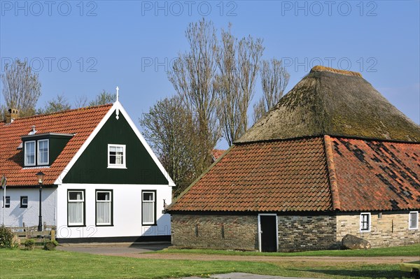 Traditional house and barn in the village Den Hoorn