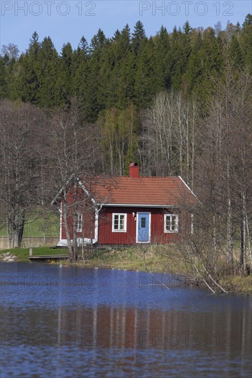 Swedish red wooden cabin along river in spring